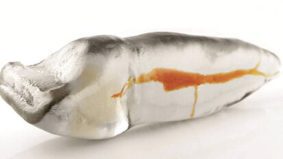 Redefining endodontic education
