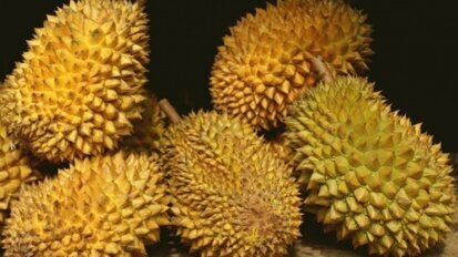亚洲的一项研究提示：每天吃个榴莲，牙齿不长龋