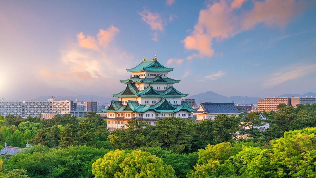 2021 ICD International Council Meeting