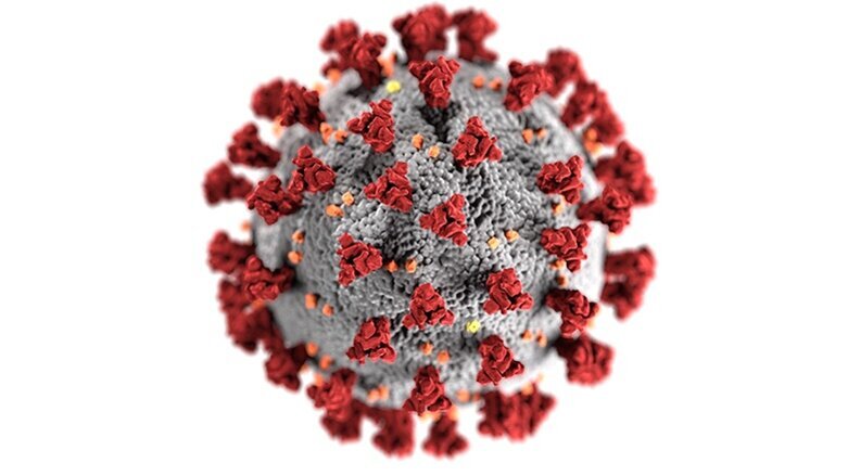 El virus que nos hizo reflexionar