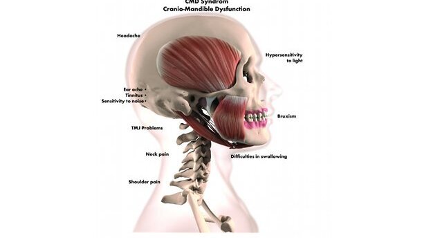 L’importance de l’occlusion