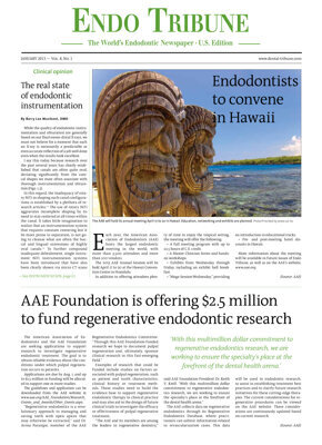 Endo Tribune U.S. No. 1, 2013