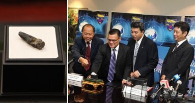 O primeiro fóssil de dinossauro encontrado na Malásia é um dente