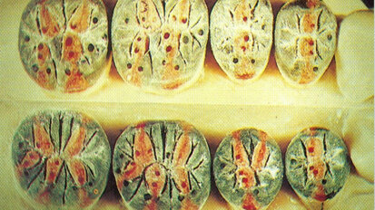 Analisi dell’evoluzione del concetto di occlusione