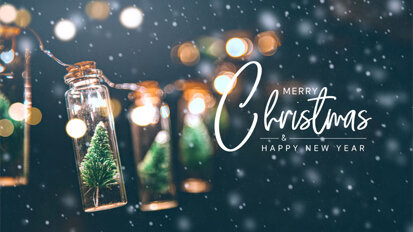 Wir wünschen Ihnen frohe Weihnachten und einen guten Rutsch!