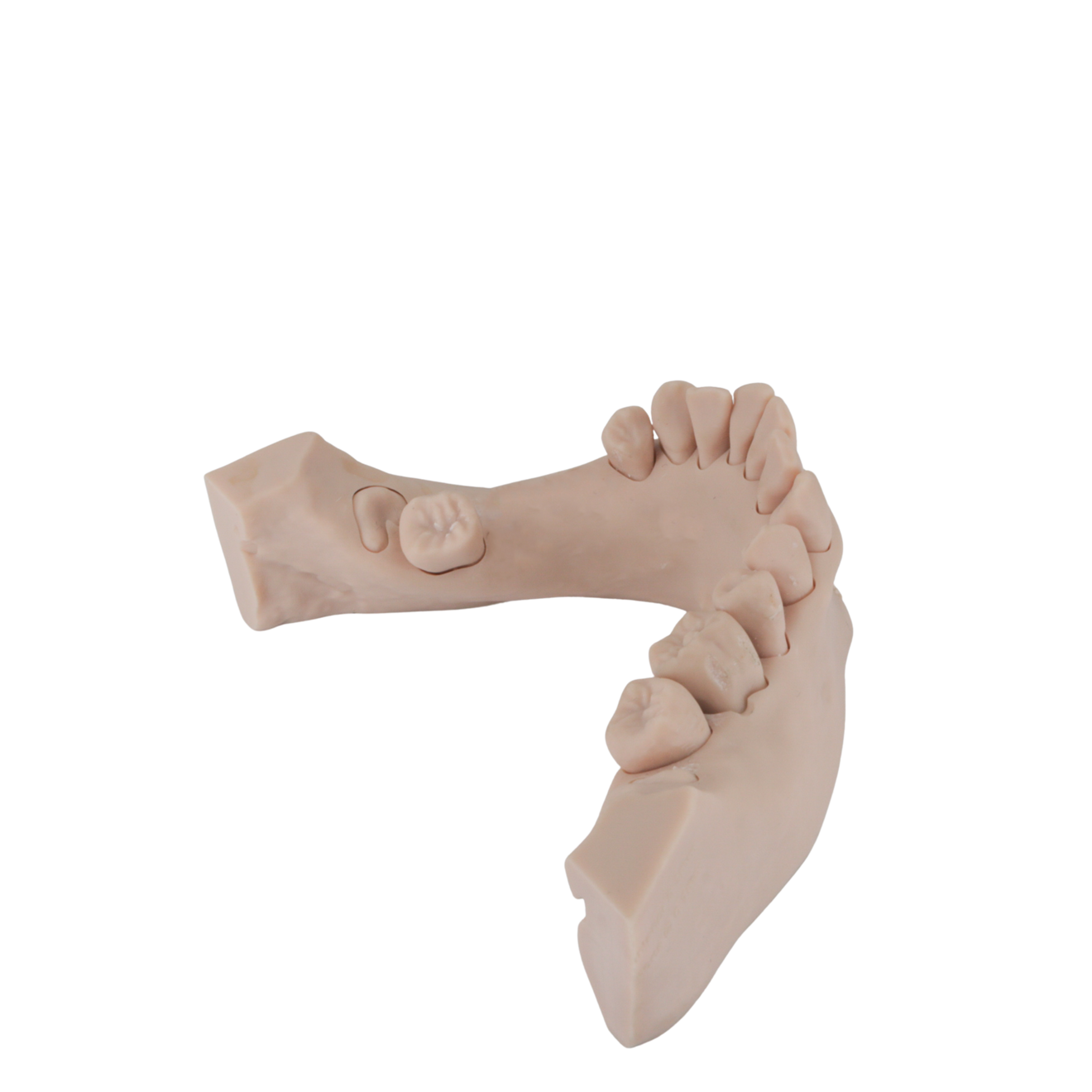 Fig. 12