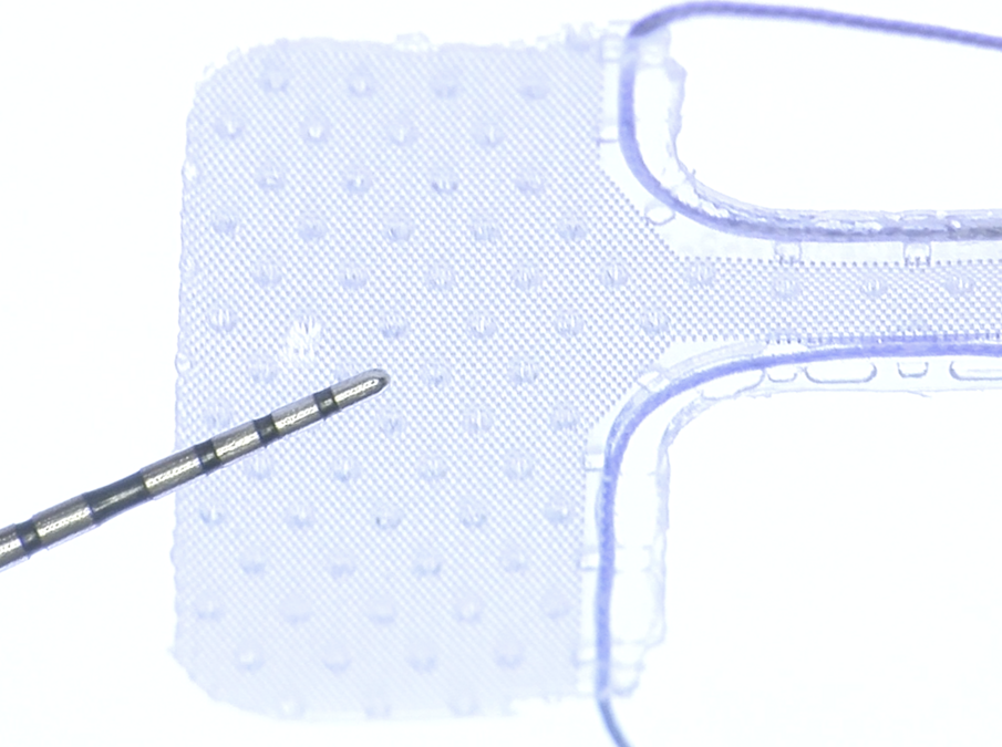 Fig. 3 - Micro struttura della superficie della membrana Guidor.