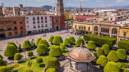 AMP León 2019
