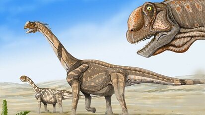 Tanden geven uitsluitsel lichaamstemperatuur dinosaurus