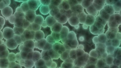 Study finds 20 to 30 percent of dental bib clips harbor bacteria