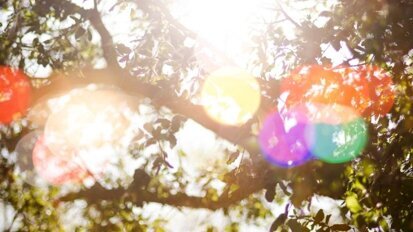 Column Richard Mastwijk: ’s Zomers ongemak