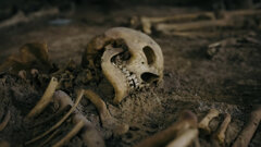 Ancient tooth wear reveals earliest evidence of habitual drug use