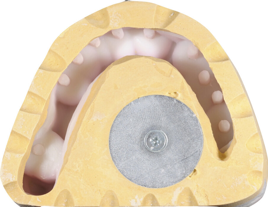 Fig. 20
