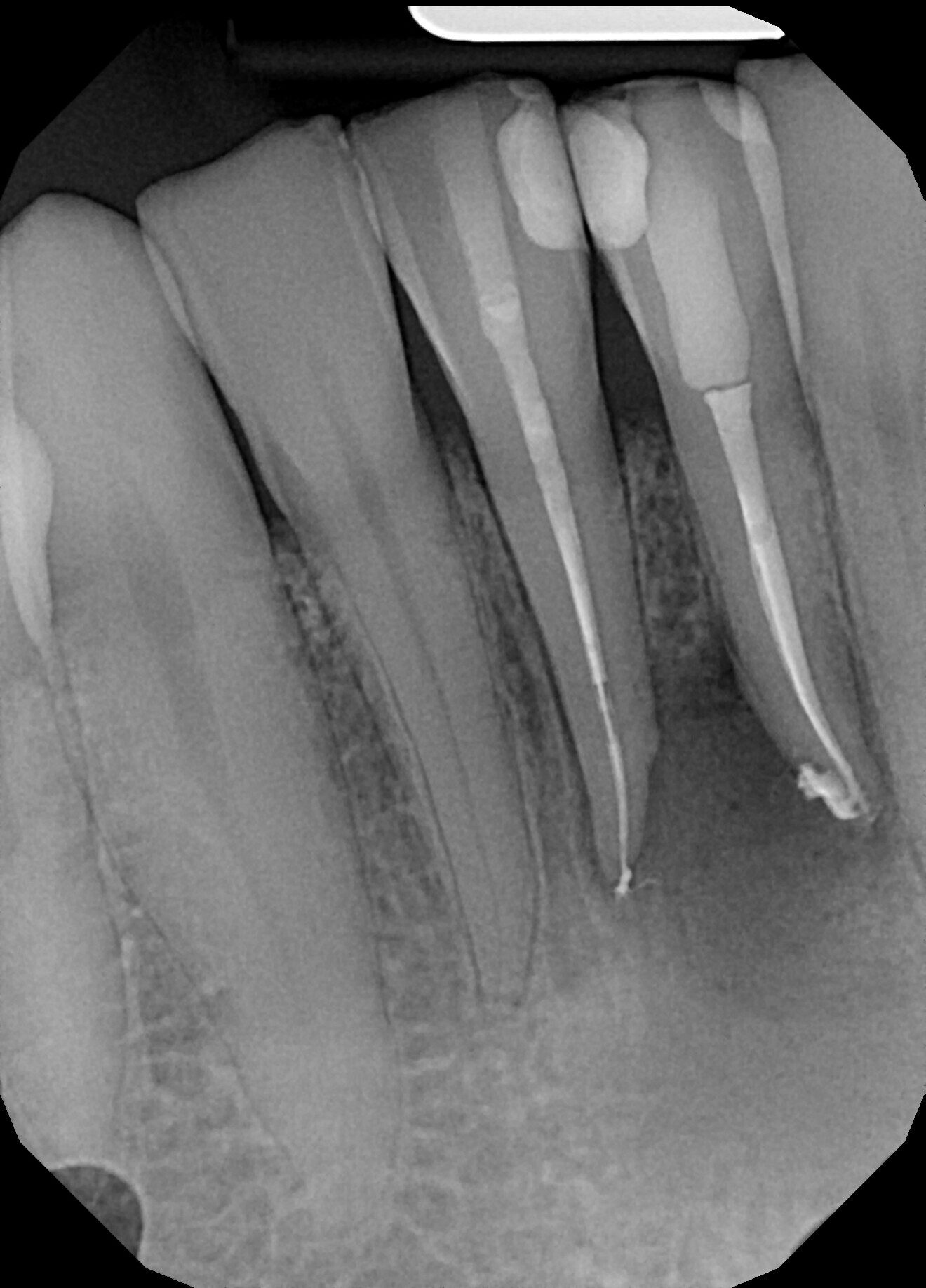 Fig. 7.