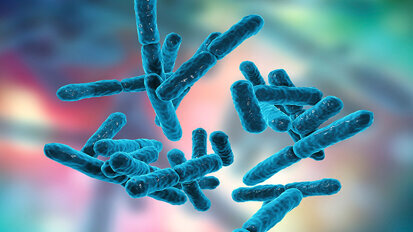 Il futuro della ricerca medica: il microbioma. Conversazione con il Prof. Ugo Covani