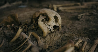 Ancient tooth wear reveals earliest evidence of habitual drug use