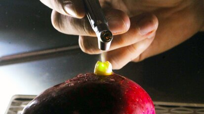 Introducción al uso del Láser en Odontología (2)
