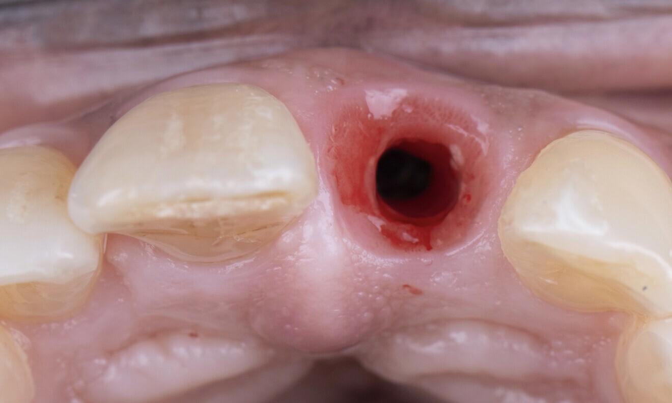 Fig. 8