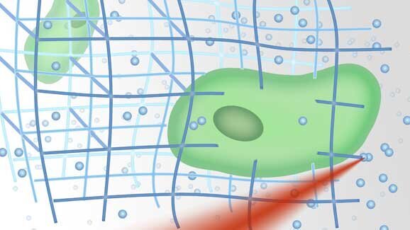 3D-Zellforschung mittels Laser