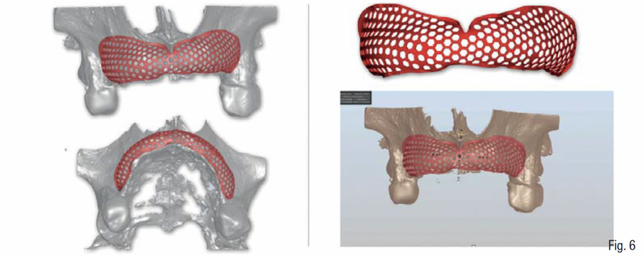 Fig. 6