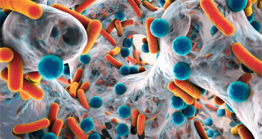 Študija preučila učinkovitost rastlinskih irigantov za endodontsko tretiranje biofilma