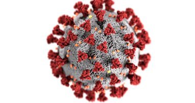 El virus que nos hizo reflexionar