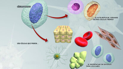 Stem cells in implant dentistry