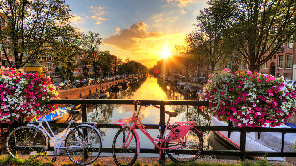 Dental Expo Amsterdam 2020