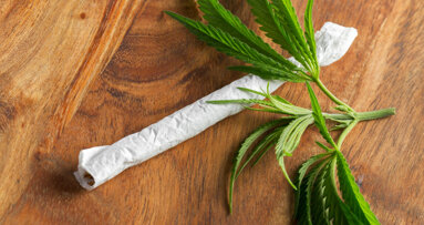 Regular cannabis users may require higher anaesthetic doses for oral surgery