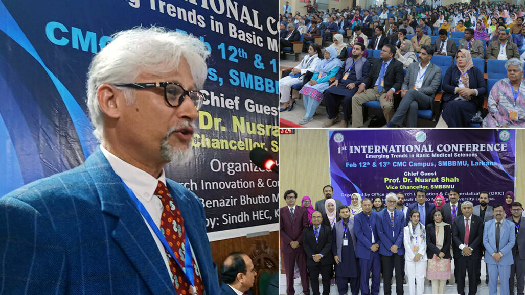 Prof Katpar calls for dental education revamp in Pakistan