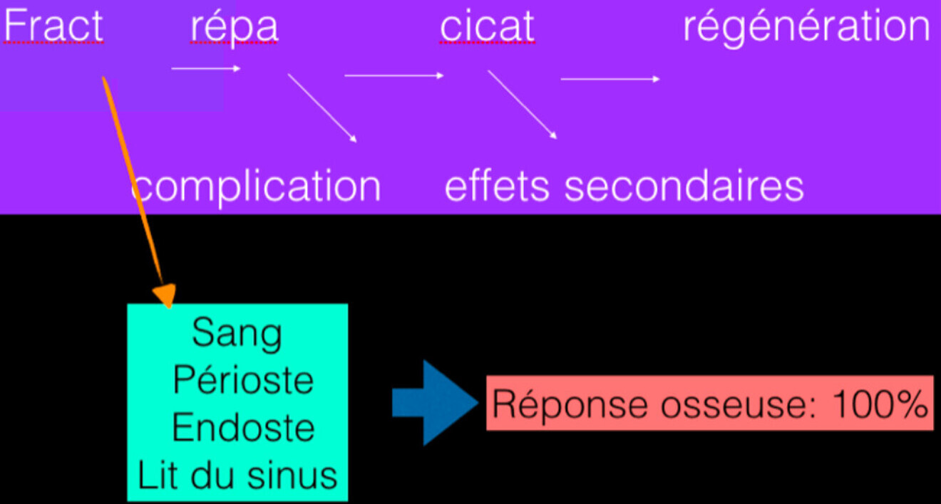 Fig. 1 : Principe de l’ostéoactivation. 
