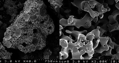 Bone augmentation of canine frontal sinuses using a porous α-tricalcium phosphate for implant treatment