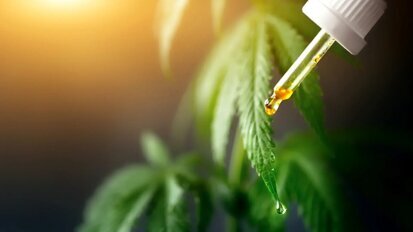 Kanabidiol: Hledání nového neopioidního analgetika
