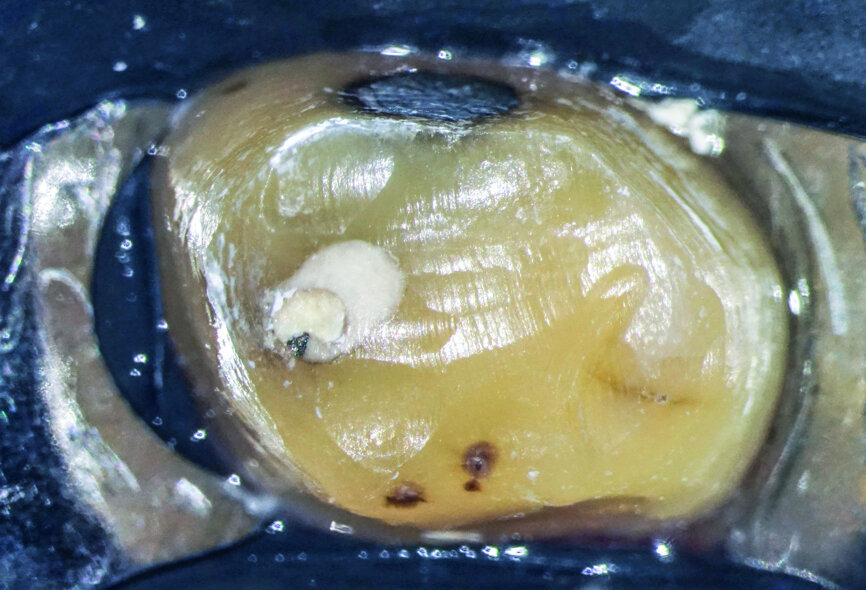 Fig.: 3