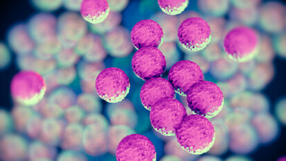 Experimental vaccine may help combat Staphylococcus aureus infection