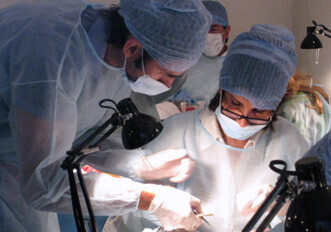 gIDE offers hands-on implants and grafting training