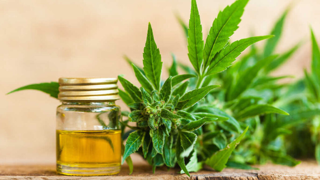 Kannabinoidy zwalczają płytkę skuteczniej niż chlorheksydyna