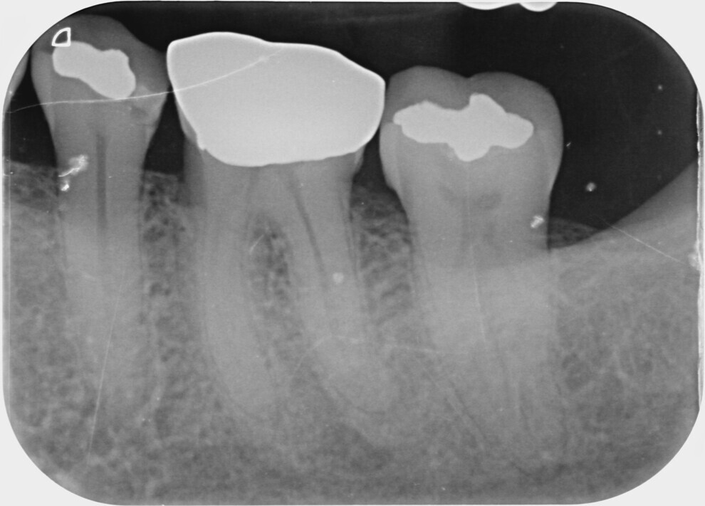 Fig. 1. (All images: Dr Brenda Loh)