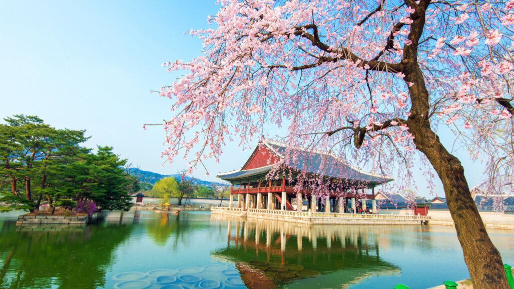 KAP (Korea Academy of Prosthodontics)