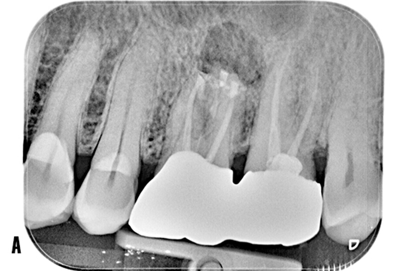 Fig6