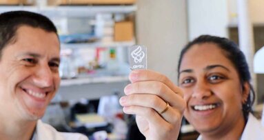 Researchers develop new bonelike material