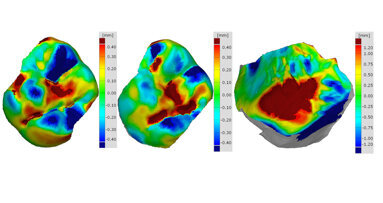 Digital scans and human identification