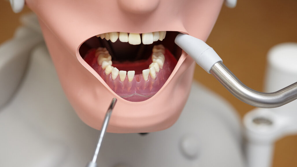A Associação Dentária da Nova Zelândia quer mais estudantes de Odontologia