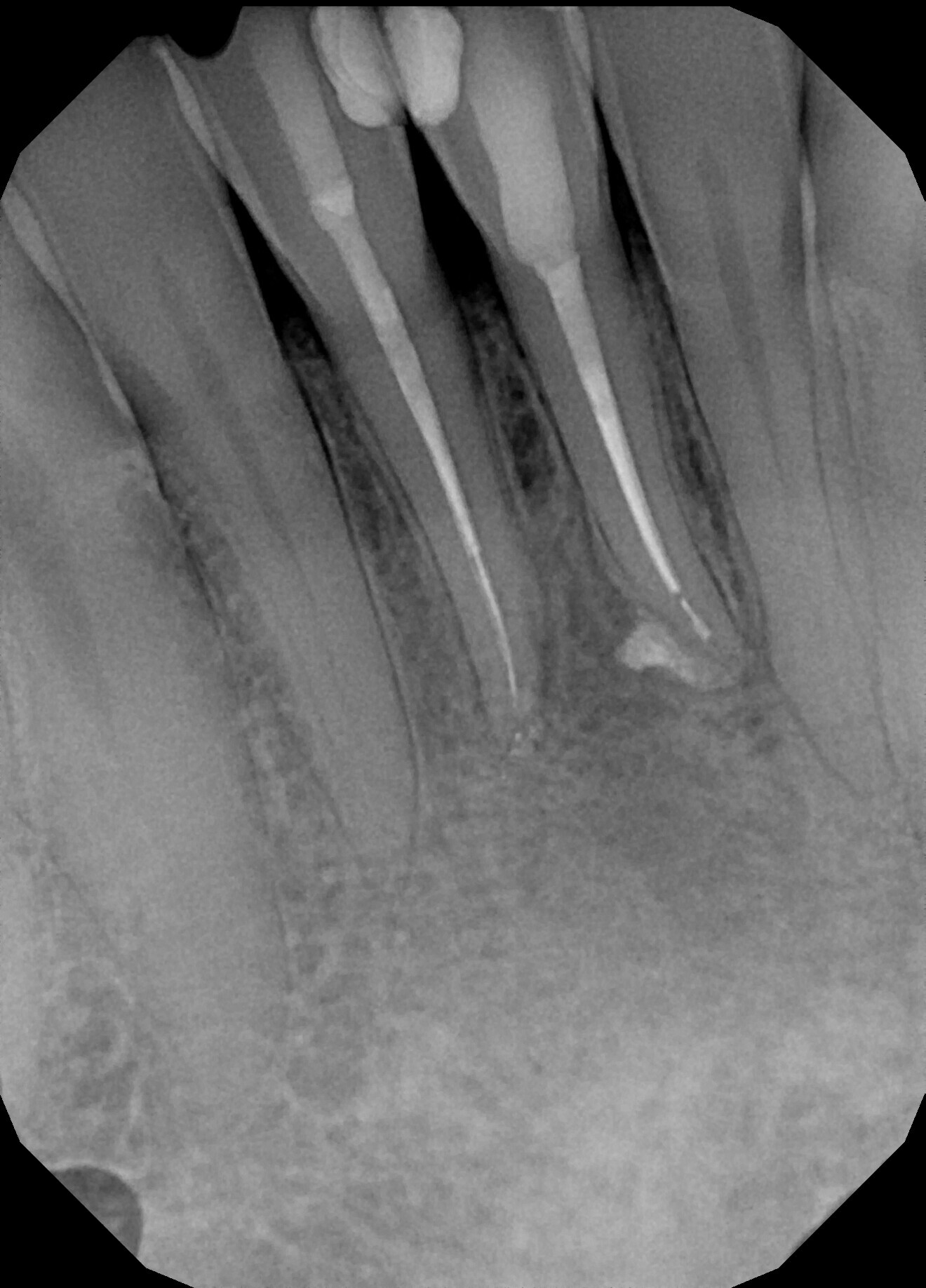 Fig. 8.