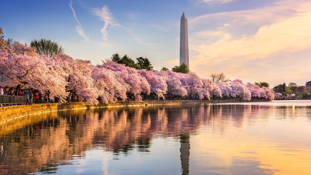 IADR/AADR/CADR General Session & Exhibition 2020