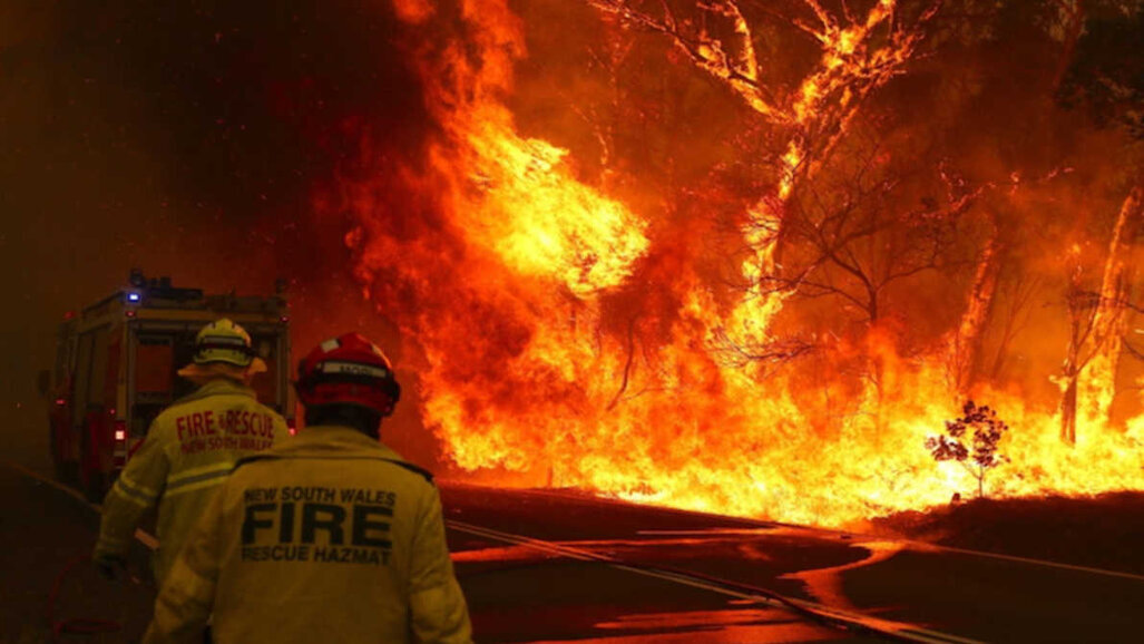 Dental community responds to Australian bush-fires