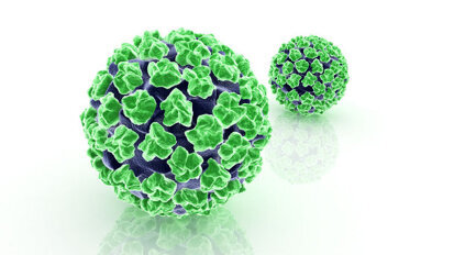 Kopf-Hals-Tumore: Papillomavirus begünstigt Heilung