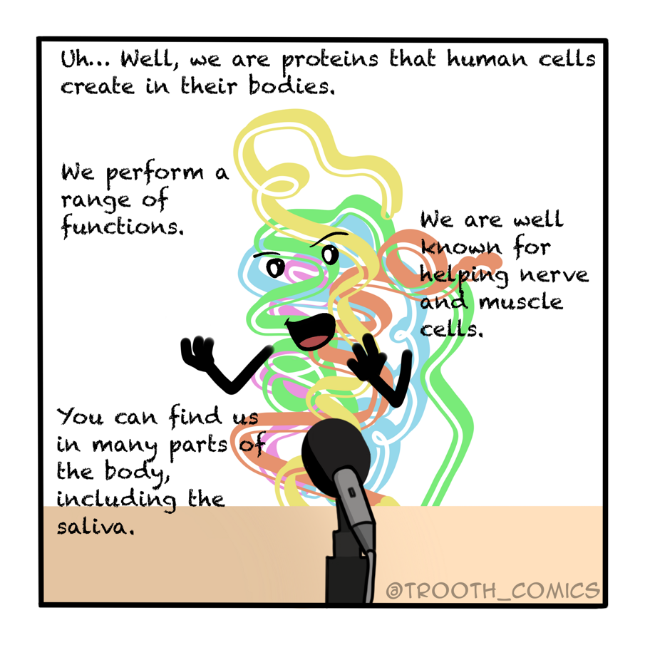 BDNF in Orthodontic pain 8