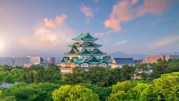 2021 ICD International Council Meeting