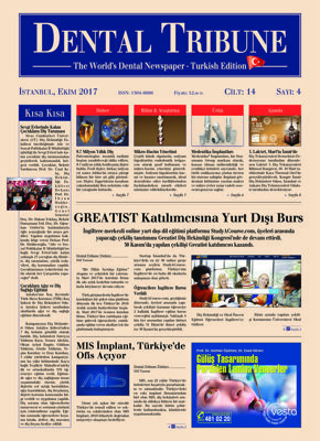 DT Turkey No. 4, 2017